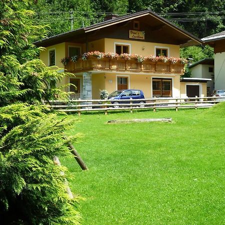 Vronis Landhaus Apartments Hüttau Dış mekan fotoğraf